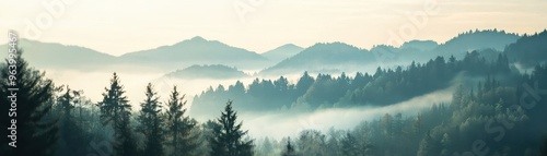A serene landscape showcasing misty mountains and evergreen trees under soft morning light, perfect for nature lovers and tranquil settings.