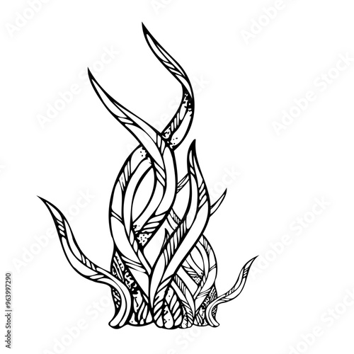 Seaweed laminaria algae black and white vector illustration. Monochrome underwater ocean reef plants ink drawing. Seabed sketch for marine cosmetics design and nautical print