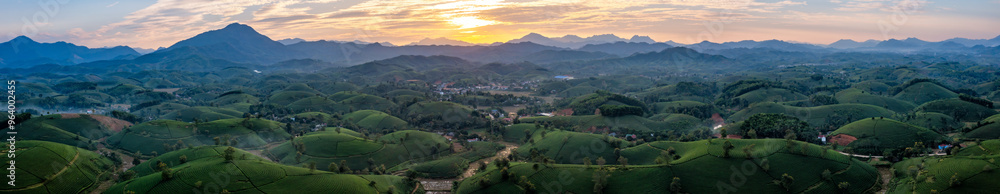Naklejka premium Beautiful aerial view of Long Coc tea hills. Long Coc in Phu Tho Province, Vietnam