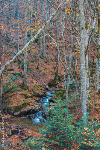 River in the autumn forest in the Rila mountains near Bachevo, Bulgaria photo