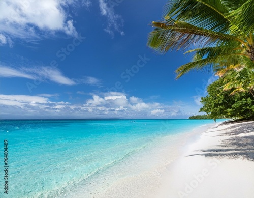 beach with palm trees