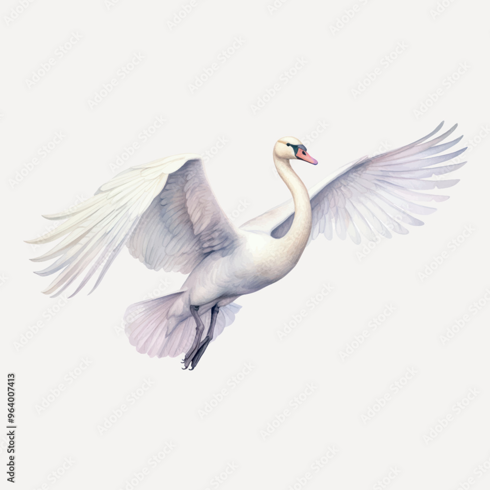 Fototapeta premium Elegant swan with outstretched wings
