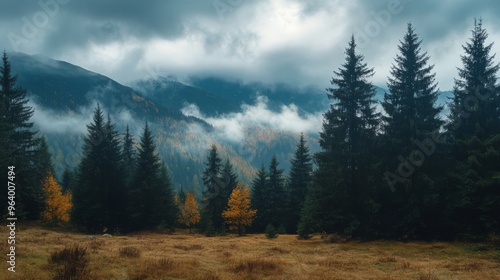 Wallpaper Mural Carpathian view from forest, with trees and clouds Torontodigital.ca