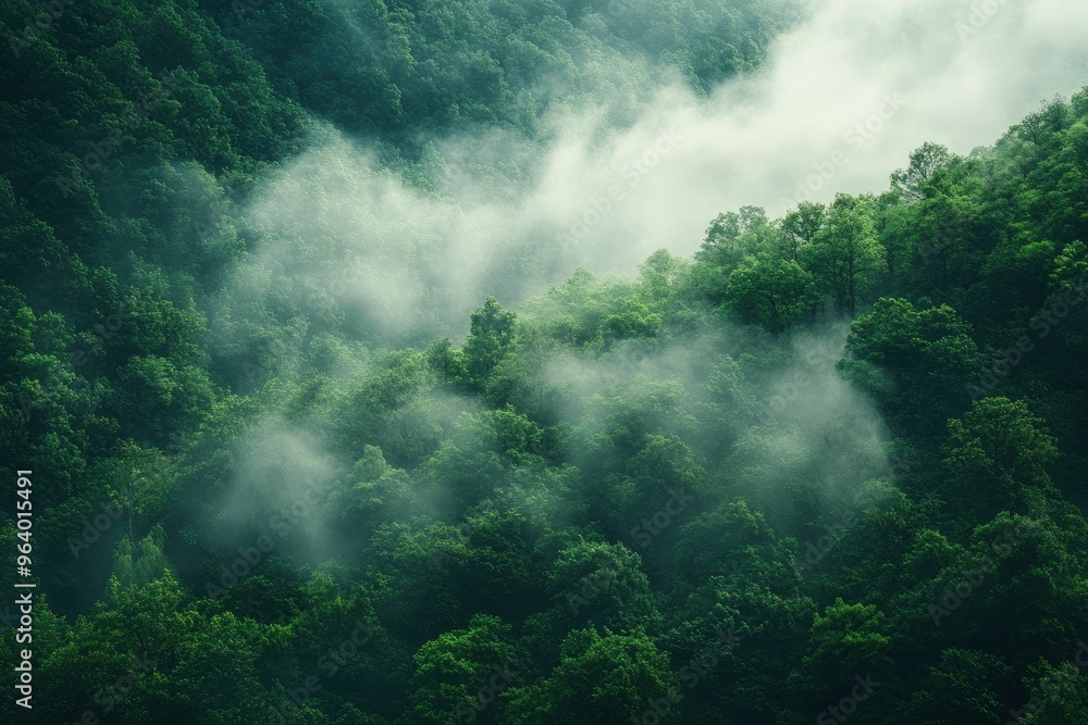 The scene captures the dense, lush green trees shrouded in a mystical layer of fog, creating a serene and tranquil atmosphere. The forest is rich with various shades of green, ai The scene captures the dense, lush green trees shrouded in a mystical layer of fog, creating a serene and tranquil atmosphere. The forest is rich with various shades of green, ai