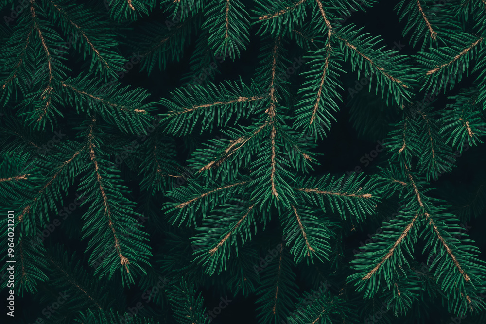 Fluffy Fir tree branch texture close up. Christmas wallpaper background. Copy space. Retro, vintage moody dark green Xmas design Fluffy Fir tree branch texture close up. Christmas wallpaper background. Copy space. Retro, vintage moody dark green Xmas design