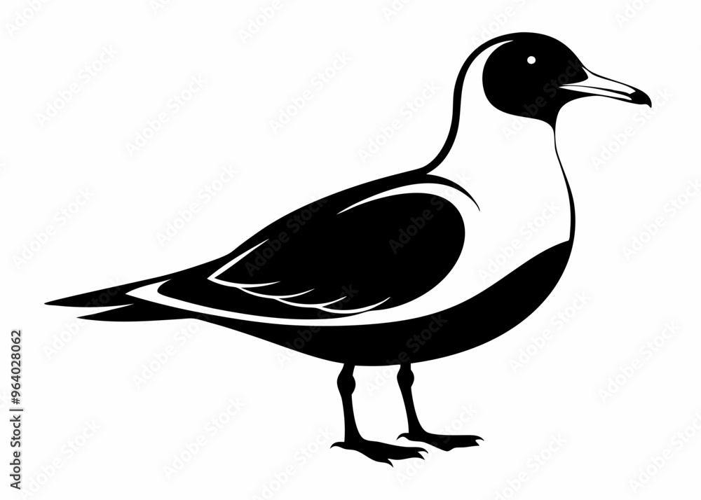 Seagull silhouette vector illustration Seagull silhouette vector illustration