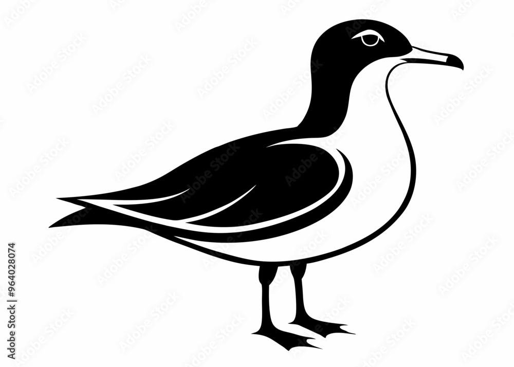 Seagull silhouette vector illustration Seagull silhouette vector illustration