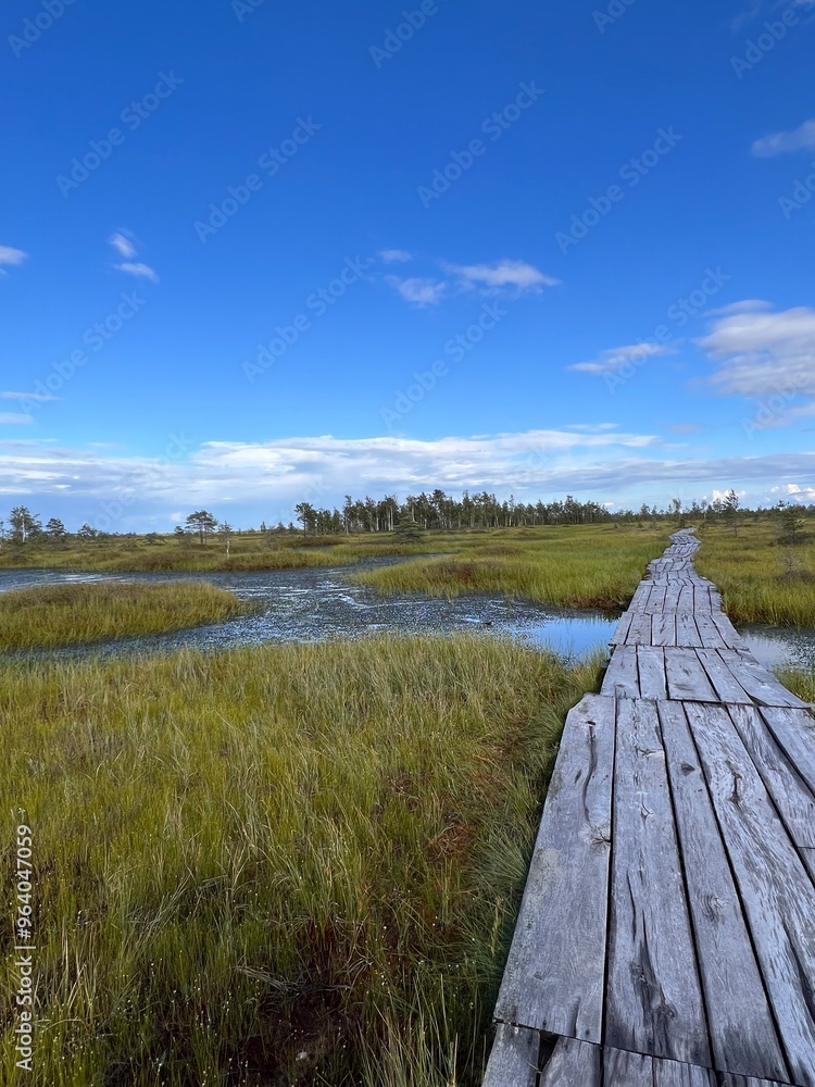 Fototapeta premium A vibrant spring scene of a raised bog with a colorful rainbow arching over a winding path, inviting exploration and connection with nature