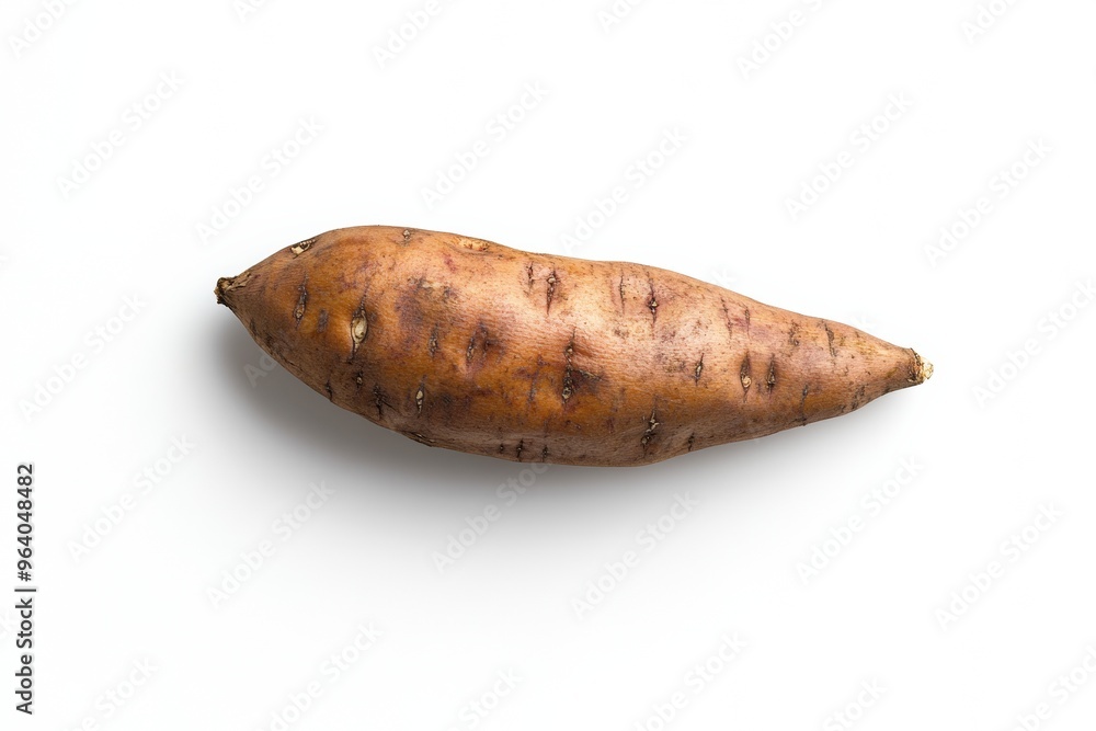 Photograph of a sweet potato isolated on a white background Photograph of a sweet potato isolated on a white background