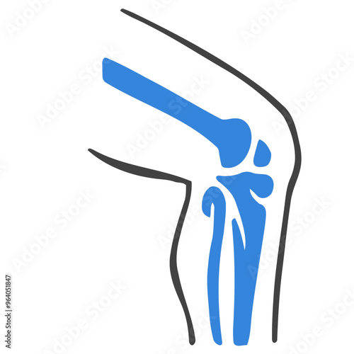 Knee bone