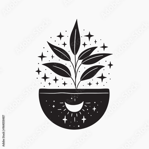 Minimalist plant with magical stars