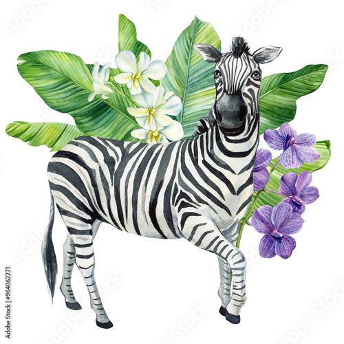 Photography Zebra animal, tropical leaves watercolor isolated
