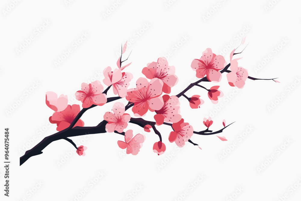 Fototapeta premium Elegant cherry blossom branch illustration