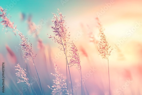 Dreamy Sunset Over Gentle Grasslands: A Serene Nature Escape