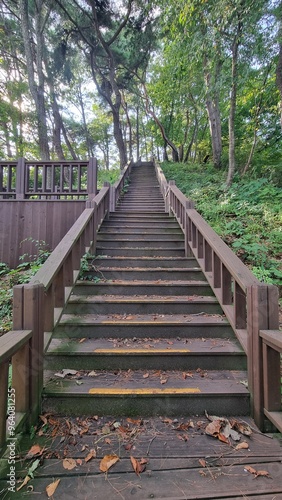 Tableau sur toile Wooden stairs in the forest, wooden stairs going up