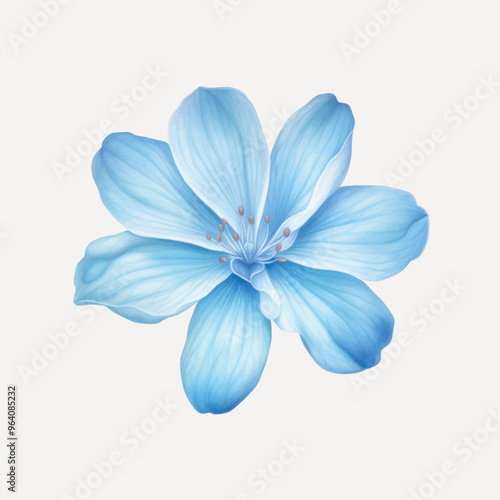 Delicate blue flower illustration