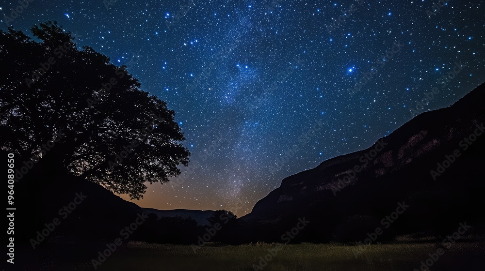 Night sky filled with twinkling stars