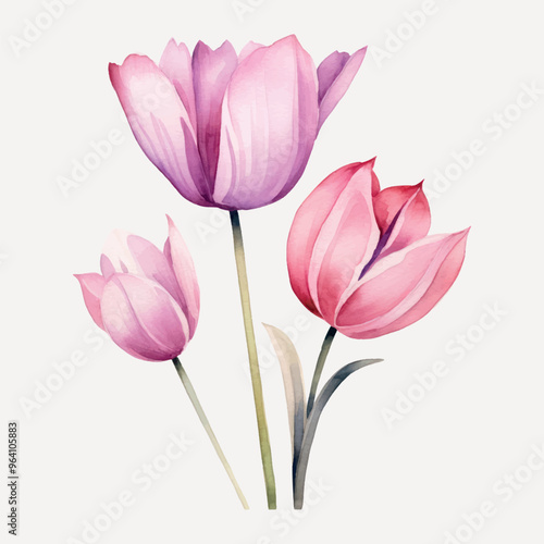 Wallpaper Mural Elegant watercolor pink tulips Torontodigital.ca