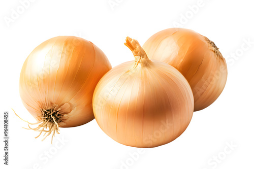 Wallpaper Mural Onion isolated on transparent background Torontodigital.ca