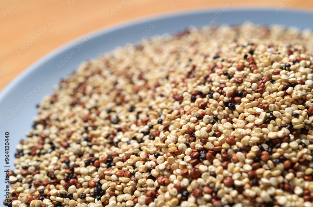 Close of Dried Tricolor Quinoa, Seeds Packed with Nutrients Called Mother of all Grains by the Incas Close of Dried Tricolor Quinoa, Seeds Packed with Nutrients Called Mother of all Grains by the Incas