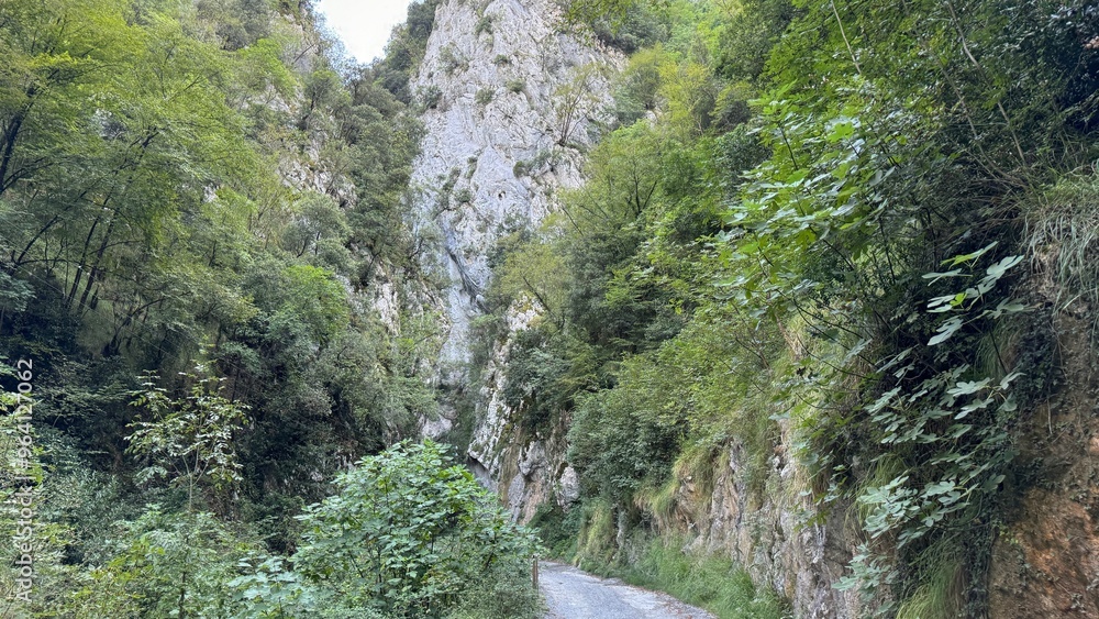 Naklejka premium strada di montagna