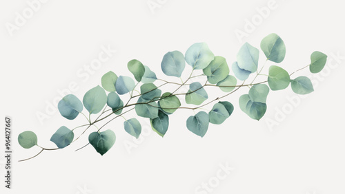 Elegant eucalyptus branch illustration