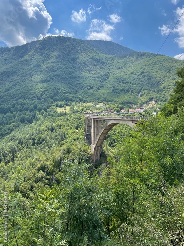 Bridge over green Tara canyon photo