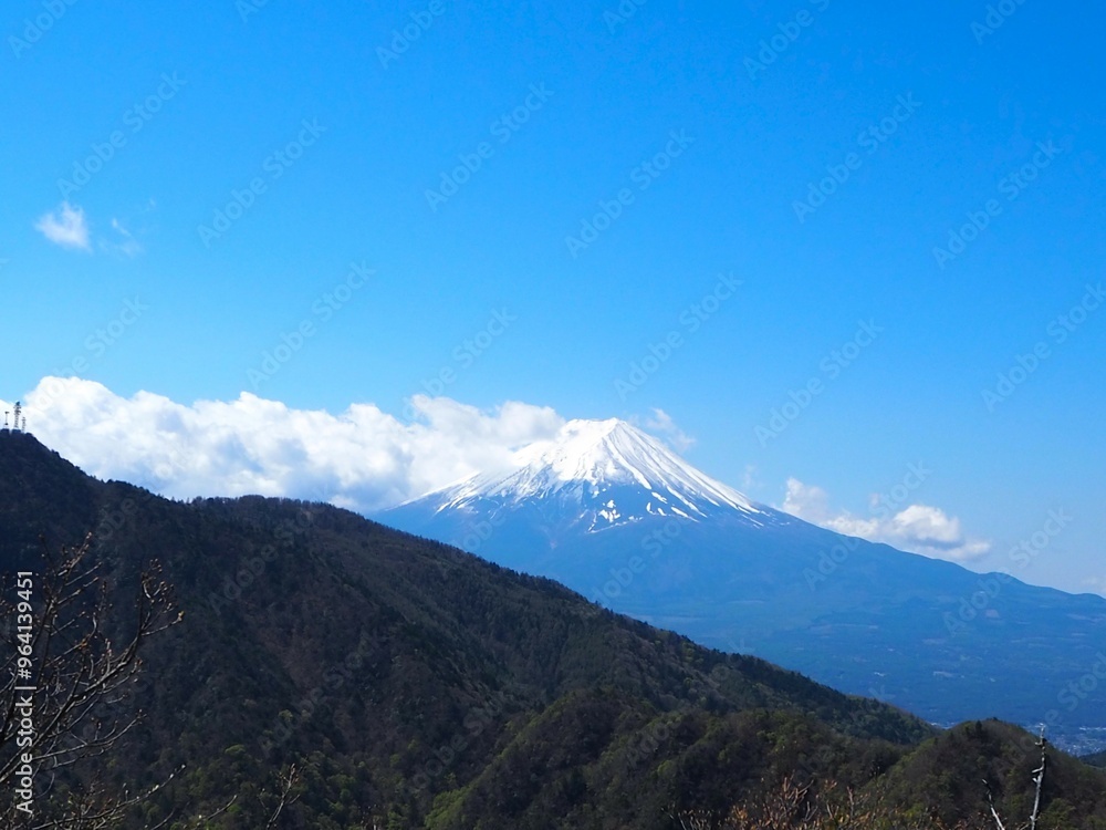 本社カ丸から見た富士山 本社カ丸から見た富士山