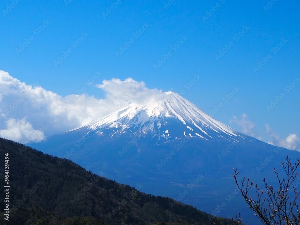 本社カ丸から見た富士山 本社カ丸から見た富士山