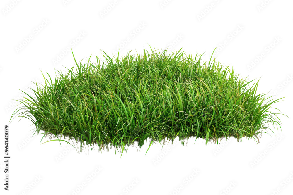 Lush green grass isolated on transparent background. perfect for nature and landscaping themes in a clear, high-resolution image. Lush green grass isolated on transparent background. perfect for nature and landscaping themes in a clear, high-resolution image.