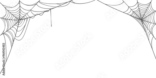 Spider web line art vector eps