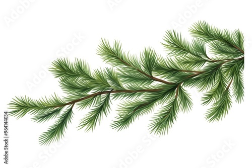 Christmas tree branches isolated on white background 