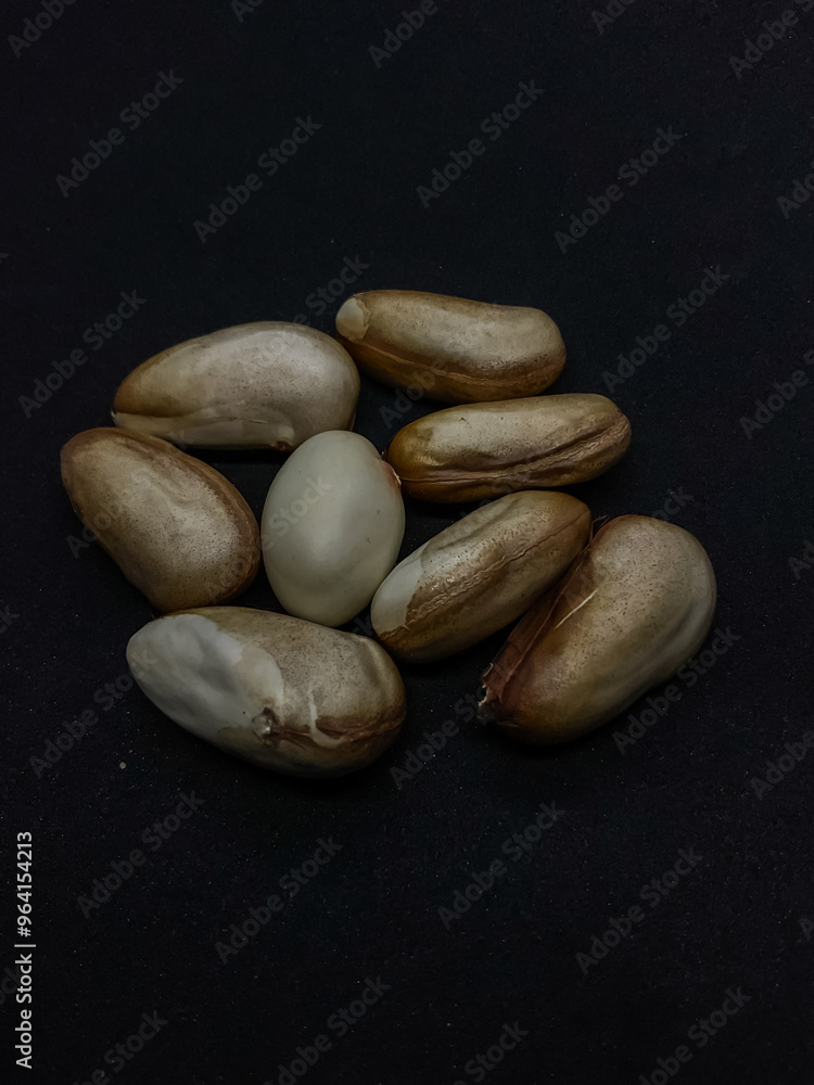 Obraz premium Jackfruit seeds on black background selective focus on subject