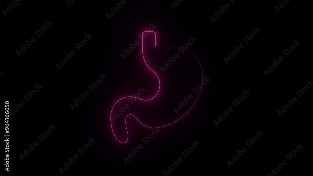 Animation of a human stomach with glowing neon lines. Neon Human Digestive System Stomach Anatomy Animation. 4K Video motion graphic animation. Animation of a human stomach with glowing neon lines. Neon Human Digestive System Stomach Anatomy Animation. 4K Video motion graphic animation.