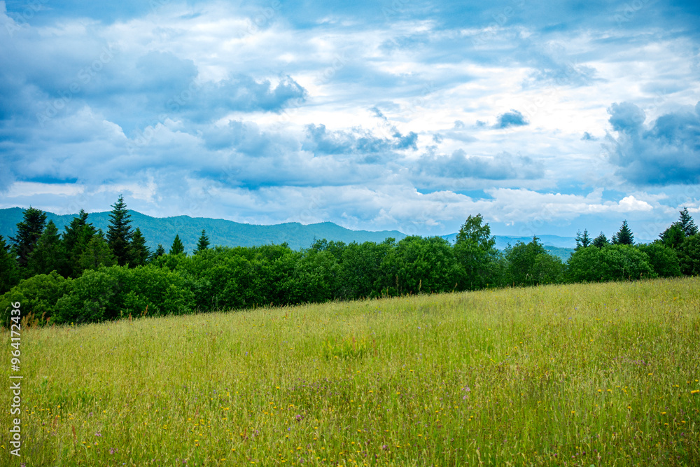 Bieszczady góry las drzewa łąka polana pole dolina niebo chmury wiosna lato pochmurnie burza Bieszczady góry las drzewa łąka polana pole dolina niebo chmury wiosna lato pochmurnie burza