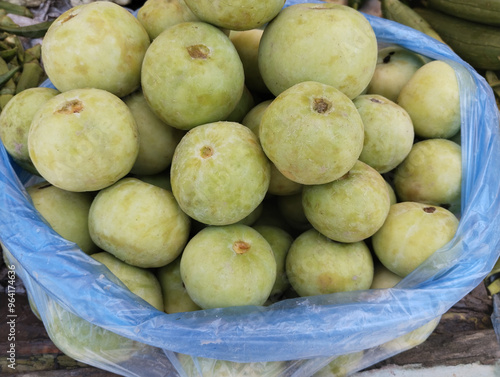 Tinda (benincasa fistulosa), a vegetable of south asia round melon, apple gourd, Indian squash, Indian roundgourd, Indian baby pumpkin closeup image stock photo  photo