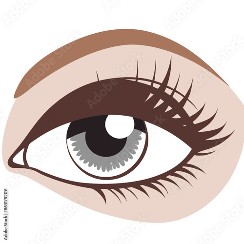an illustration of a human eye. It features a stylized design with a brown eyebrow above the eye. The eye itself has a grey iris with a black pupil in the center. 