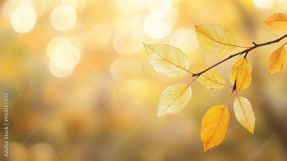 Golden leaves shimmering on a branch, with a gentle bokeh background that adds a soft, glowing effect to the autumn scene. Golden leaves shimmering on a branch, with a gentle bokeh background that adds a soft, glowing effect to the autumn scene.