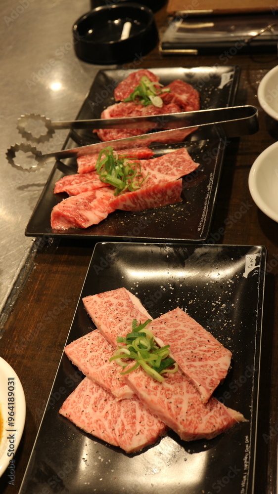 KoreanBeefGrill, Hanwoo, KoreanBBQ, GrilledBeef, KoreanCuisine, AsianCuisine, TraditionalKoreanFood, KoreanDining, CharcoalGrill, BeefLovers, KoreanBarbecue, KoreanMeatDish, AuthenticKorean, KoreanRes