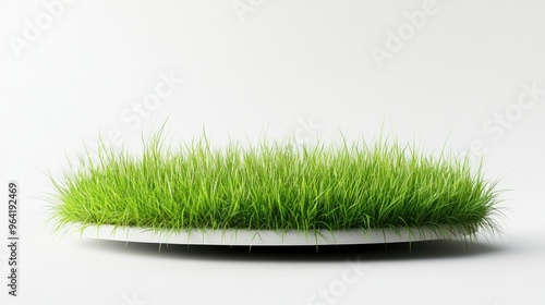 Fototapeta Naklejka Na Ścianę i Meble -  floating thin podium of green grass isolate on transparency background PNG