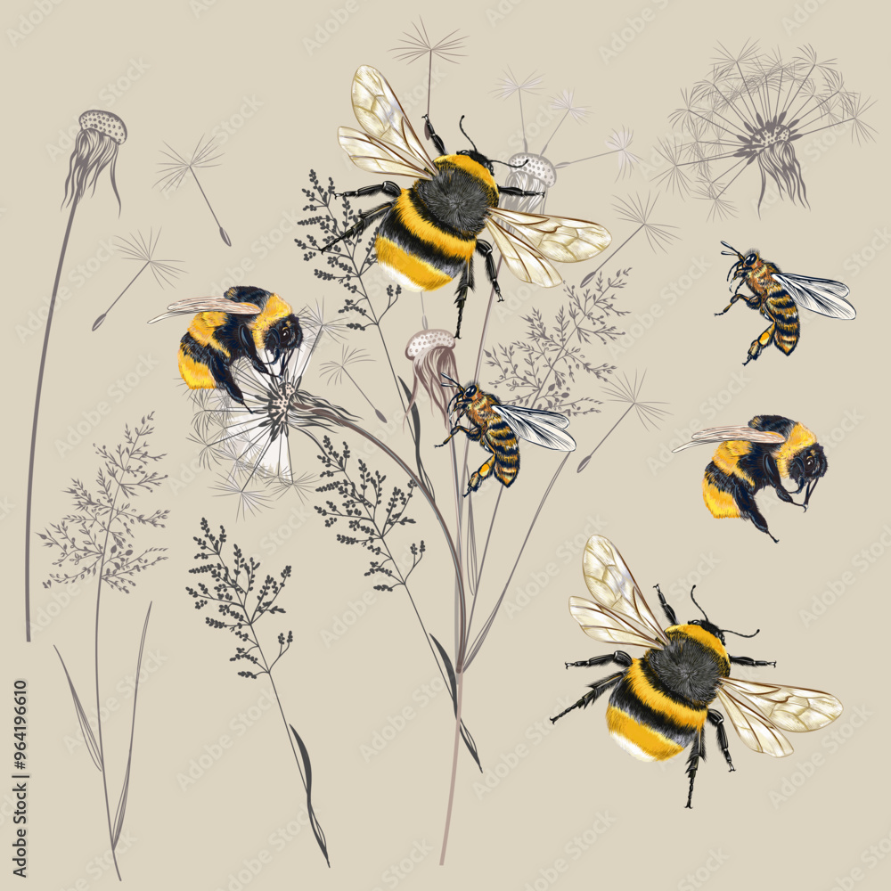 © Mary fleur - Collection of vector high realistic bumblebee insects with wild dry meadow plants