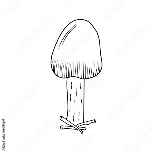 Mushroom, a poisonous toadstool drawn in the doodle style in vector. Mushroom icon in the line.