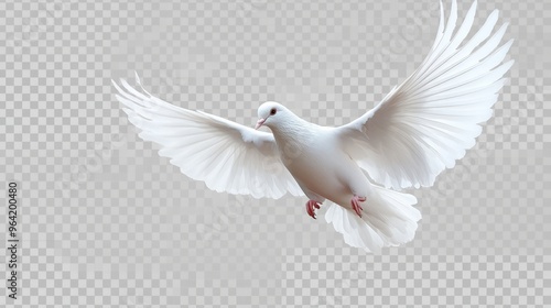 white pigeon or dove flying isolate on transparency background PNG