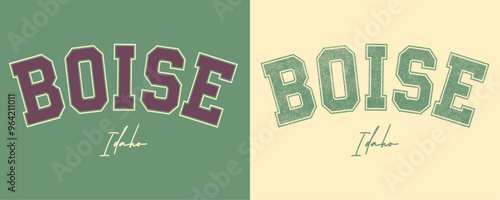 Retro college varsity font typography, Varsity vintage vector graphic, typography US sates Idaho Boise slogan vector graphic print for fashion tee and t-shirt, sweatshirt, and hoodie. 