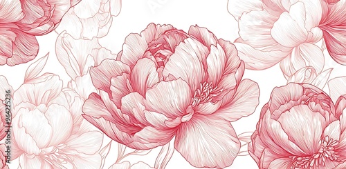 Wallpaper Mural Delicate Floral Elegance: Hand-Drawn Peonies in Soft Reds and Whites Torontodigital.ca