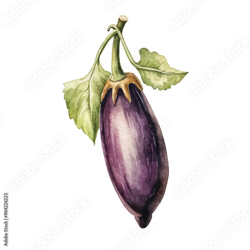 watercolor Aubergine isolated white background