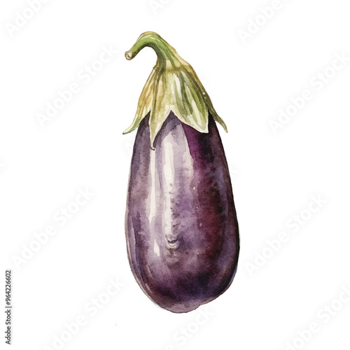 watercolor Aubergine isolated white background