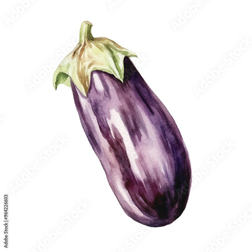 watercolor Aubergine isolated white background