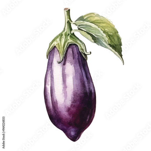 watercolor Aubergine isolated white background