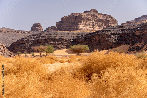 Landscape of Sahara desert in famous area of Djanet. photo